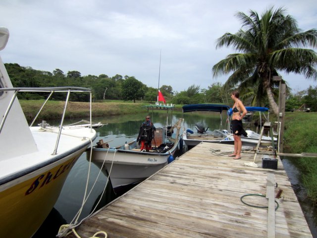 Angel & Stephanie's Dive Trip to Isla de Roatan, October 2014